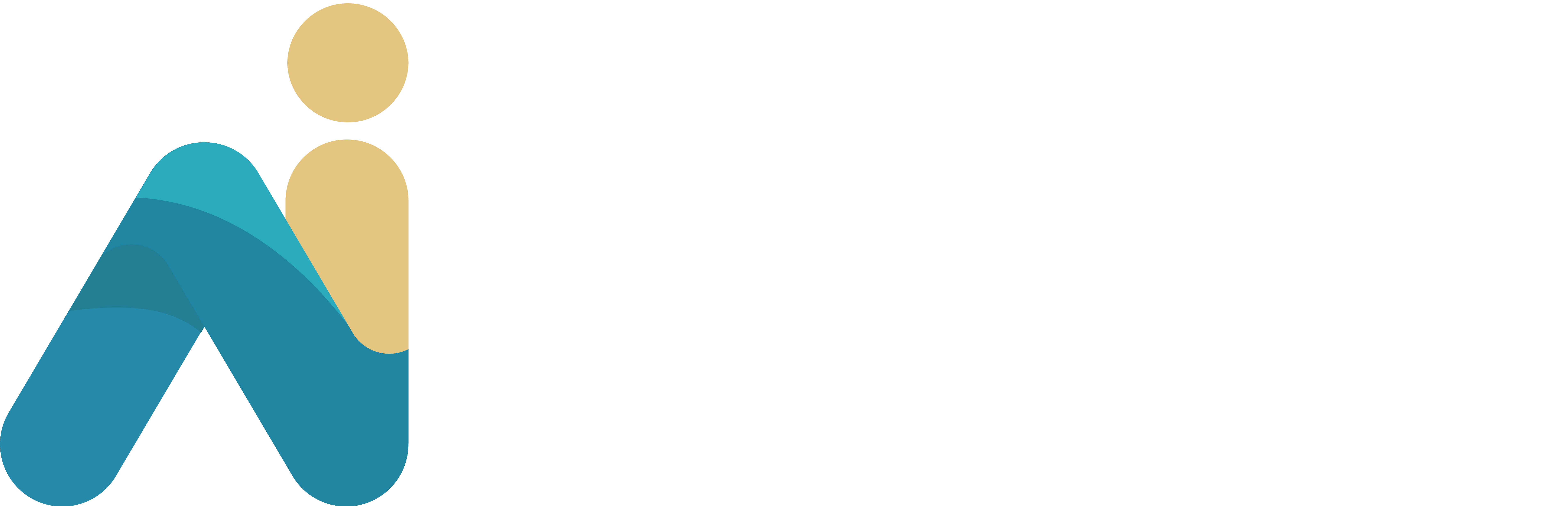 About Immediate Evex XP 11 0 Our Team Vision Technologies And All about-immediate-evex-xp-11-0-our-team-vision-technologies-and-all